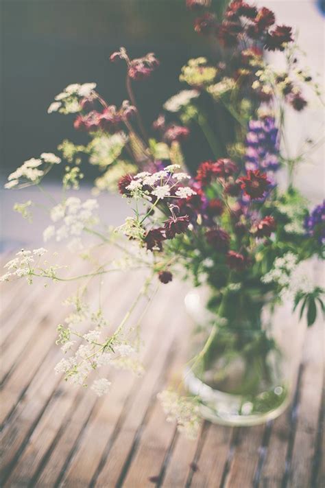 396 best wildflower cottage images on pinterest