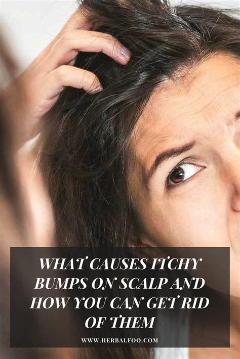 Pin On Hair Care