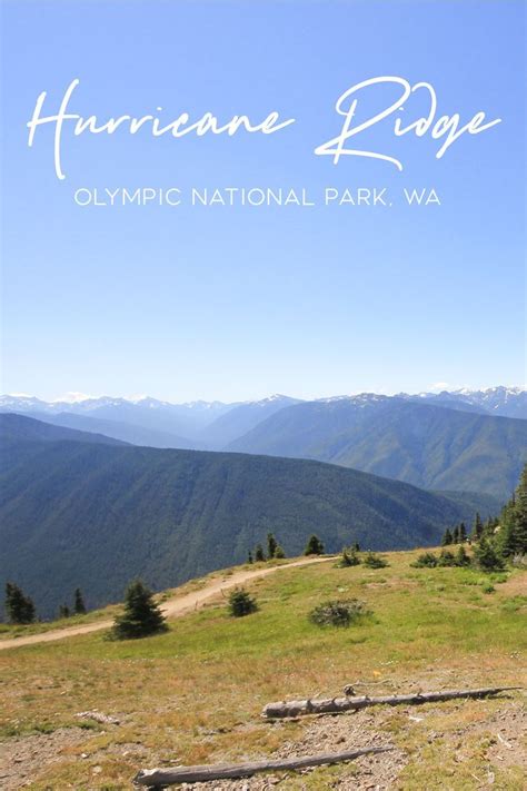 Hiking At Hurricane Ridge In Olympic National Park Olympic National