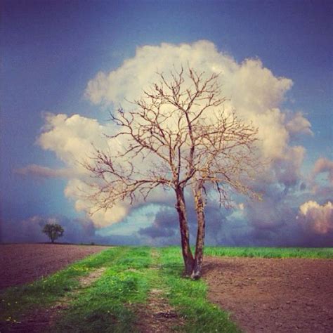 Cloud Tree Nature Photography Landscape Scenery