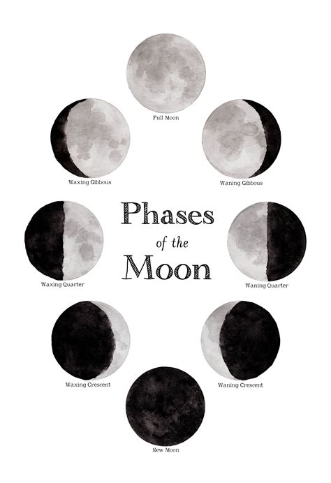 School Room Chart Phases Of The Moon 12 X 18 Poster Etsy Moon
