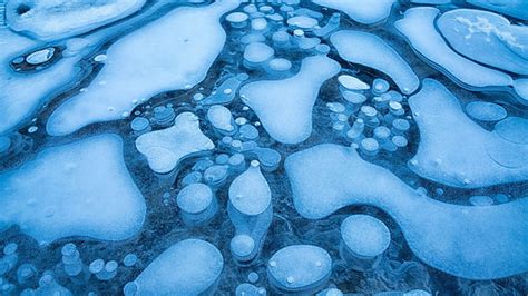 Free Download Nature Frost Snow Ice Winter Bubbles Frozen River