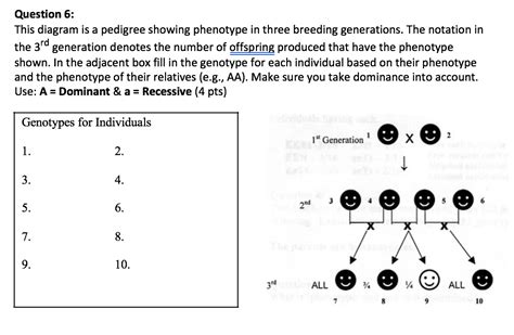 Question Question 6 This Diagram Is A Pedigree Showing Phenotype In
