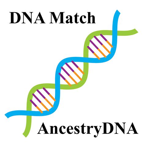 Genaueres Dna Matching Bei Ancestry Verein Für Computergenealogie Ev