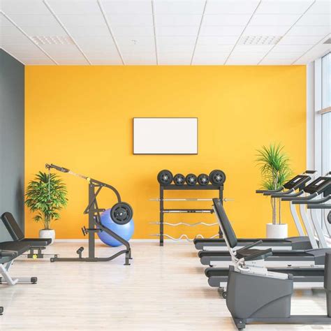 Https://wstravely.com/paint Color/home Gym Paint Color