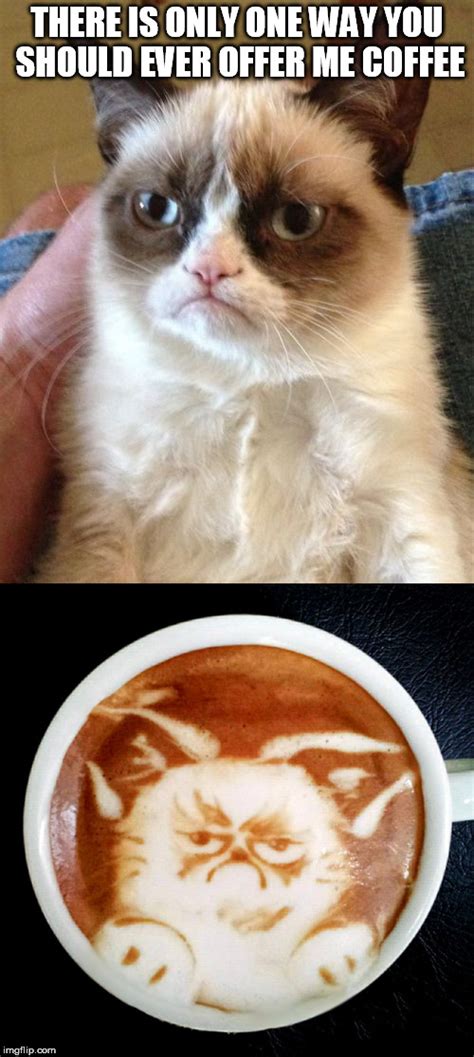 Grumpy Cat Does Coffee Imgflip