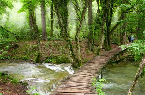 Plitvice Wooden Pathway Through The Falls At Plitvice Lakes In Croatia