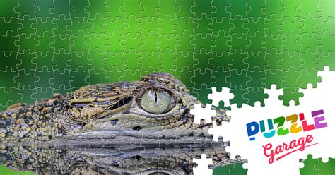 Crocodile In Water Jigsaw Puzzle Animals Reptiles Puzzle Garage
