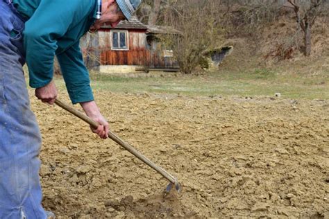 A Farmer In A Field Hoeing The Soil By Hand Before Planting The Seeds