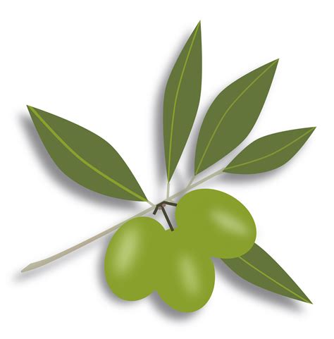 Free Olives Cliparts Download Free Olives Cliparts Png Images Free