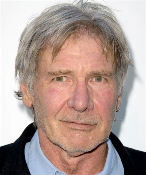 Harrison Ford Short Straight Casual Hairstyle Medium Grey