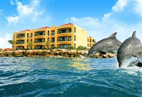 Pet aquarium in classifieds in ontario. The Royal Sea Aquarium Resort (Curacao/Willemstad ...