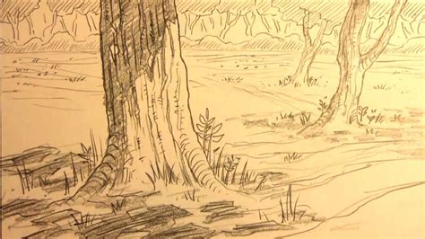 How To Draw Forest Backgrounds Forest Sketch Background Drawing