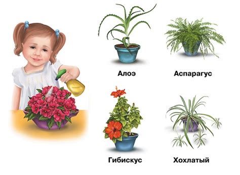 Карточки По Уходу За Комнатными Растениями Для Доу - regulationsresume