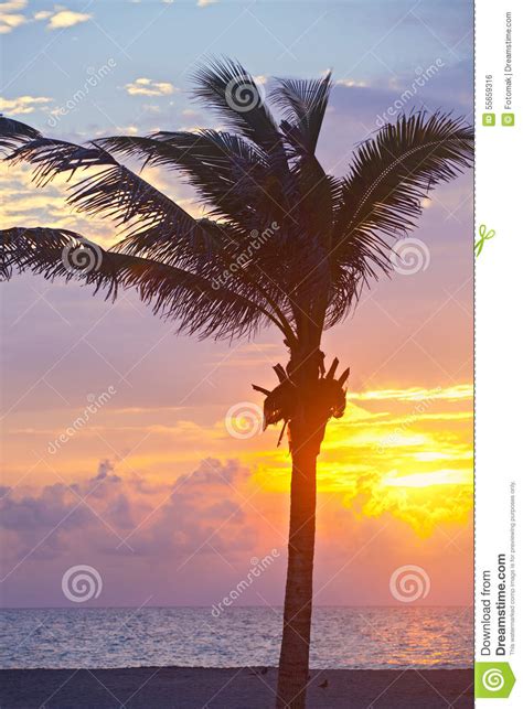 Miami Beach Florida Colorful Summer Sunrise Or Sunset