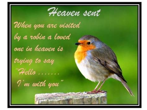 Image Result For Bird Robin Quotes First Love Loved One In Heaven Robin