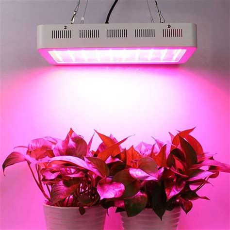 Understanding 5 Full Spectrum Led Grow Lights For Indoor Gardens