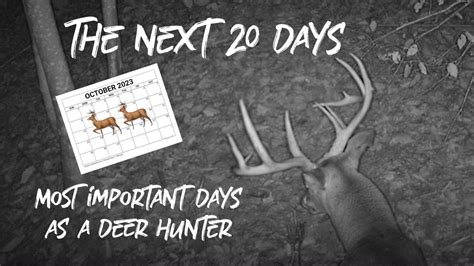 Pre Rut To Rut The Best Days To Deer Hunt Youtube