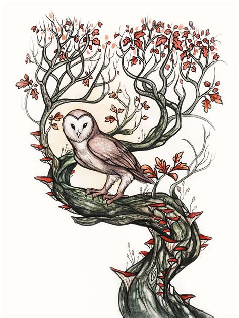 Barn Owl By Evanira On Deviantart
