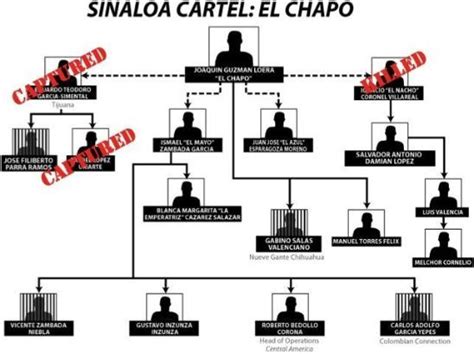 ¿ahora Quién Controlará El Cartel De Sinaloa Antena San Luis