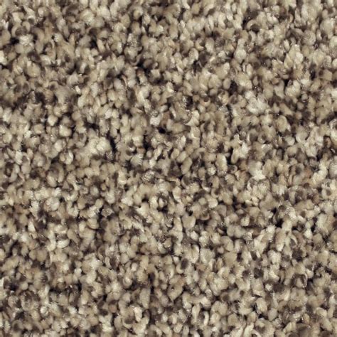 Stainmaster Essentials Sonora Harbor Cove Textured Carpet Sample