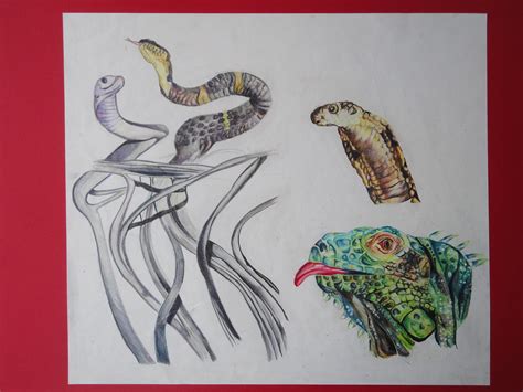 Dsc Snakes Using Color Pencils In The Three Drawings Flickr