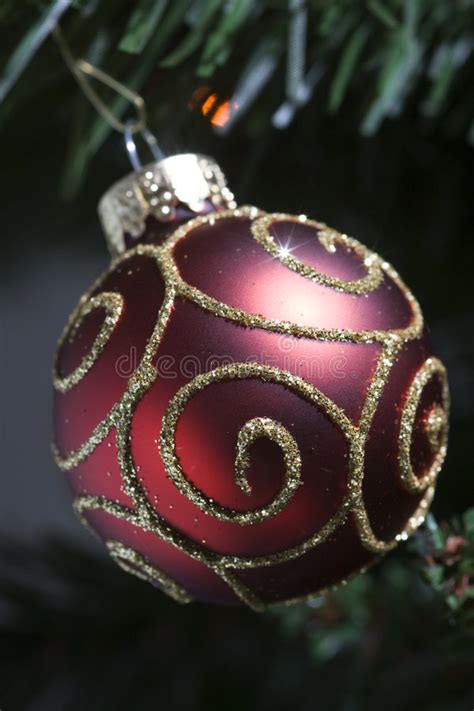 Ornate Ornament Stock Image Image Of Tree Round Ball 7343939