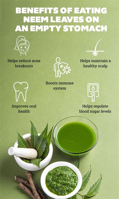 Neem Powder Benefits Best Life And Health Tips And Tricks