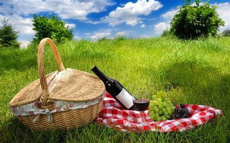 Picnic Full Hd Wallpaper And Background Image 1920x1200 Id280492