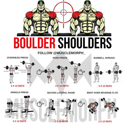 Boulder Shoulders Deltoid Workout Delts Shoulder Exercise Gym Bodybuilding Fitness Musclemorph