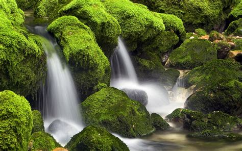 Waterfall With Green Rocks Hd Wallpapers Hd Wallpapers