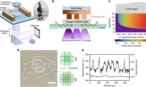 3 D Bioprinting Technique Could Create Artificial Blood Vessels Organ