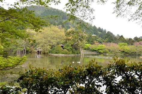 Foto Templo Ryoan Ji Barrio De Arashiyama Kyoto Japón