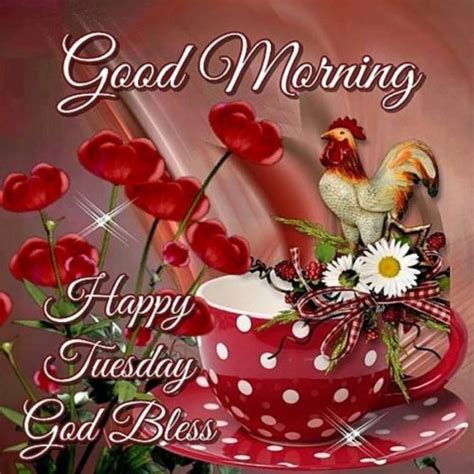 Good Morning Happy Tuesday Images Share Your Day Wishes