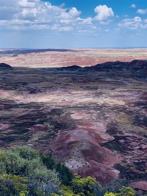 Petrified Forest National Park 13 Incredible Photo Op Stops Travel