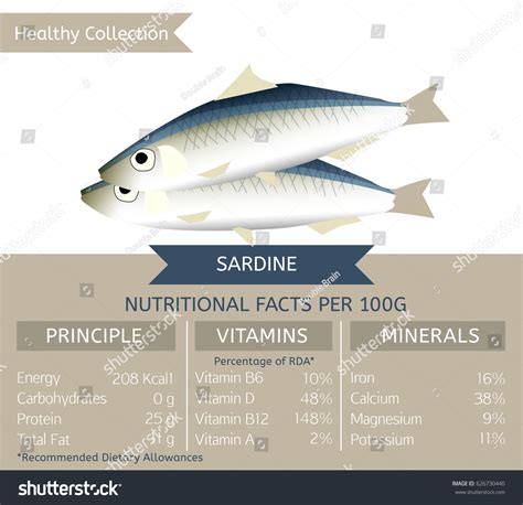 Sardine Health Benefits Vector Illustration Useful Stock Vector