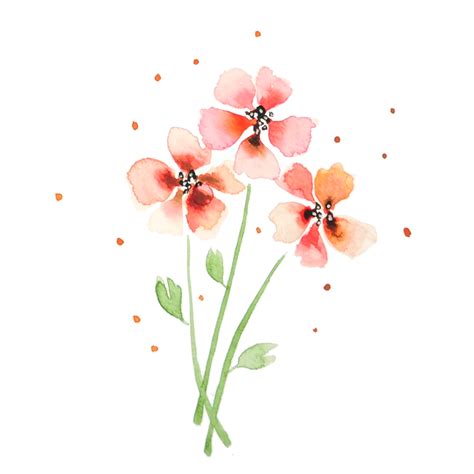 Red Flower Watercolor 21939081 Png