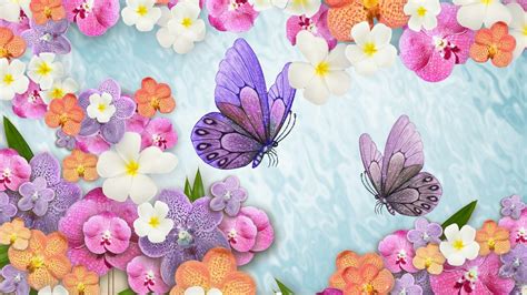 Spring Flowers And Butterflies Hd Wallpaper Background