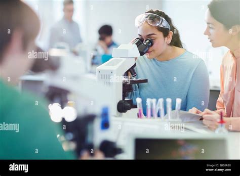 Girl Students Using Microscope Conducting Scientific Experiment In