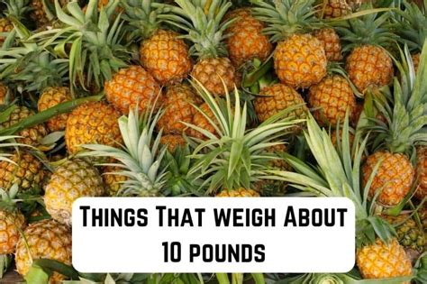 13 Common Things That Weigh About 10 Pounds Pics Measuringly