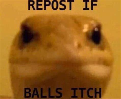 Repost If Bal Itch Rpyrocynical