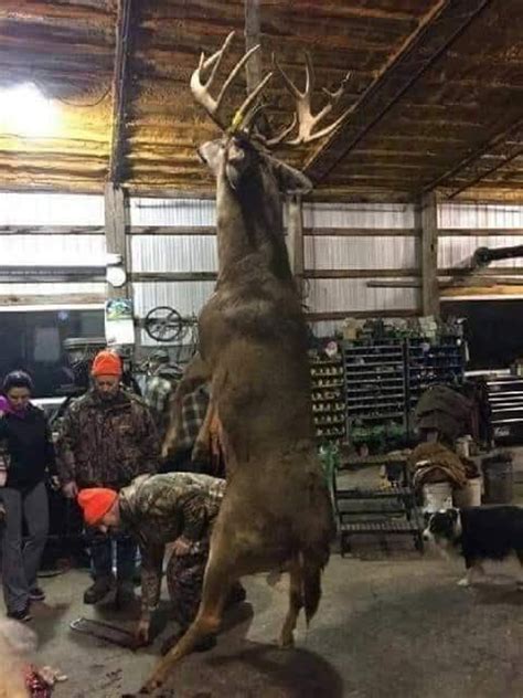 Whats The Heaviest Buck Youve Ever Seen Stump Sitters Insights