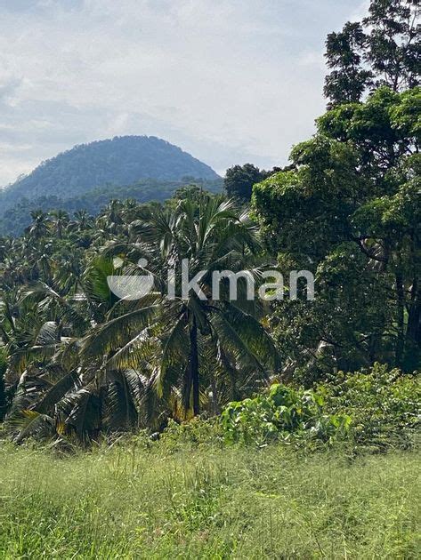 Acres Land In Kurunegala Kandy Road Ikman