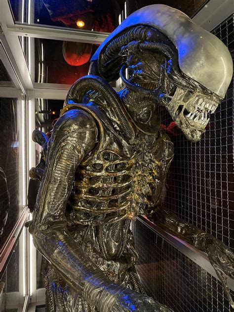 Actual Xenomorph Costume Used In The 1979 Alien Film I Would Do Really Bad Things For This In