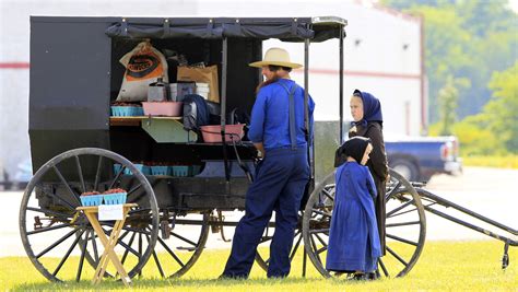 glimpse into the amish community