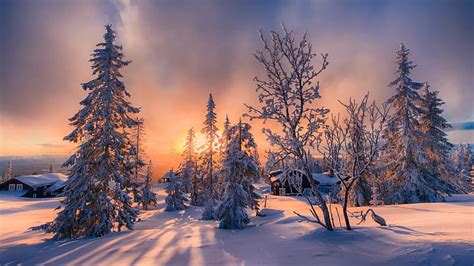 Norwegian Sunset Shadows Winter House Snow Landscape Trees Sky