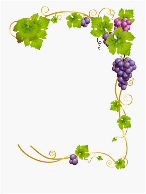Grape Vine Clipart Border 10 Free Cliparts Download Images On