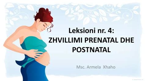 Ppt Leksioni Nr 4 Zhvillimi Prenatal Dhe Postnatal Powerpoint