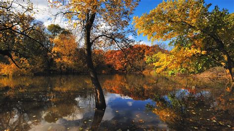 Nature Lake Fall Water Trees Clouds Landscape