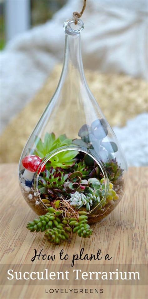 How To Make A Succulent Terrarium Lovely Greens